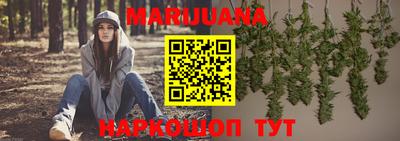 индика Будённовск