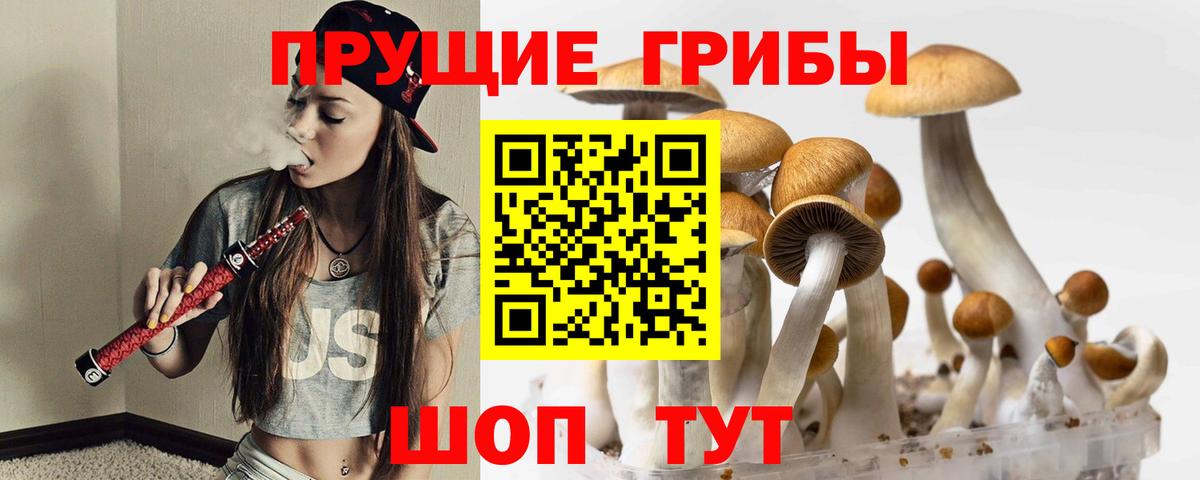 Галлюциногенные грибы Psilocybe Пыть-Ях