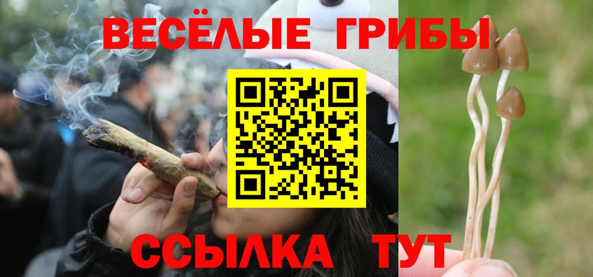 Псилоцибиновые грибы MAGIC MUSHROOMS  Вход с VPN  Пыть-Ях 